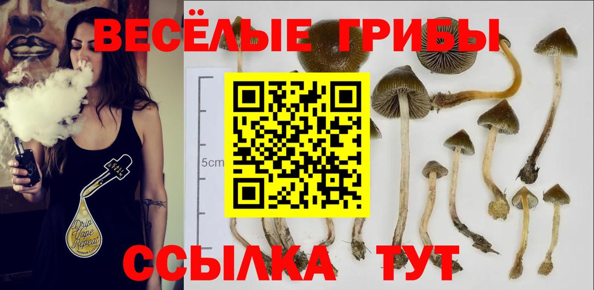 Галлюциногенные грибы Psilocybine cubensis Пыть-Ях