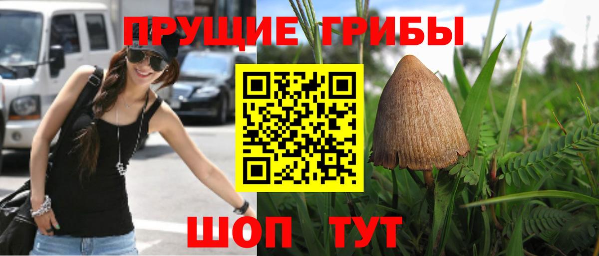 Пыть-Ях  Псилоцибиновые грибы прущие грибы  Вход с VPN 